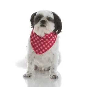 Kickee Pants Print Dog Bandana - Flag Red Gingham